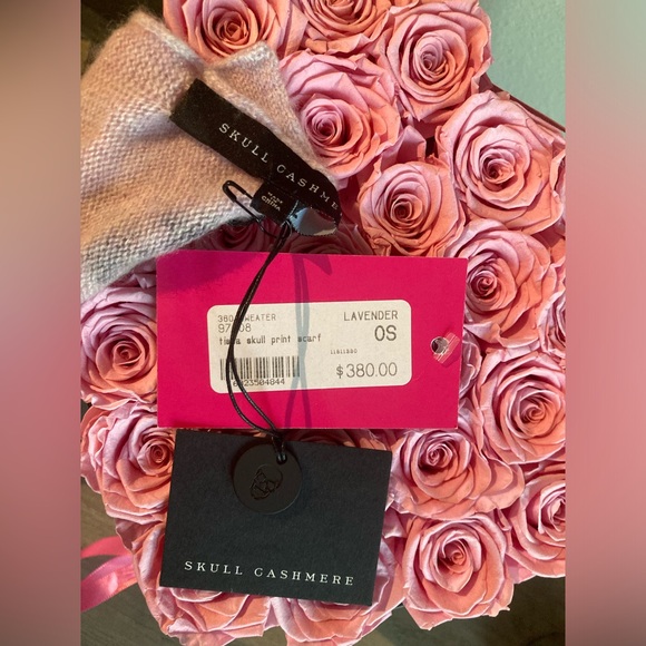 NWT Skull Cashmere Pink/Lavender Large Rectangle Skull Scarf - Picture 13 of 14